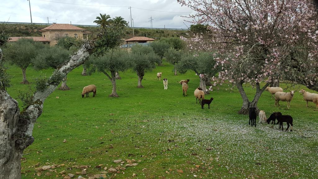 Quinta Das Pias - Holiday Farm Pinhel Eksteriør billede